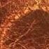 Delbert McClinton When She Wants Good Lovin My Baby Comes To Me