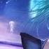 43 Nightcore Admiral Grey Dead To Me With Lyrics