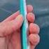 Finicky Kingfish Re Rig The Jack Fin Stylo 210 With A Single On The Rear Maintains Huge Action