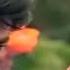 Muthamil Kaviye Varuga Song Dharmathin Thalaivan ம த தம ழ கவ ய வர க