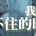 派星兒 我也有撐不住的時候 其實我也想有個人遮雨擋風 只是掙扎的生活找不到出口 怎敢有棲息的溫柔 動態歌詞 Vietsub Pinyin Lyrics