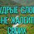 Мудрые Слова Не Жалейте Своих Улыбок Мудрые Мысли мудрость цитаты вдохновение стих жизнь