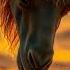 RABBIT AND CAMEL JOURNEY IN REGISTHAN Rabbit Cuteanimals Ai Animalrescue Animation Camel