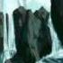 Bots Das Weiche Wasser
