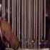 D Black Personal Person Ft Castro Official Music Video