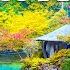 FLYING OVER SOUTH KOREA 4K UHD Soothing Music With Stunning Beautiful Nature Film For Relaxation