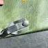 Newest Invention Pliers Tool Tools Mechanic Car Cars Repair Electrical Automotive