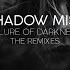 Shadow Mist Allure Of Darkness Innerdose Remix Melodic Techno