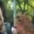 Swan Queen Первая Любовь Любовь Последняя