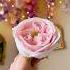 DIY World S Most Expensive Rose How To Make A Juliet Rose With Paper Towel