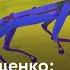 Дмитрий Пащенко зачем люди мечтают о механических собаках