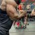 Samson Dauda Tricep Workout Samson Dauda Motivation Mr Olympia 2022 Road To Olympia Update