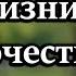 8 Жизнеизменяющих Преимуществ Жизни в Одиночестве для Мужчины Старше 60 Лет