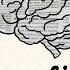 The Benefits Of A Bilingual Brain Mia Nacamulli