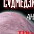 Рассказы Судмедэксперта ТРИ ПРОТОКОЛА ВСКРЫТИЯ автор Андрей Ломачинский