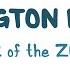Huntington Disease Year Of The Zebra