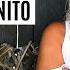 TOP 5 HITS Von Daniela Alfinito
