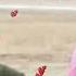 Full Title Song Punar Vivah Ye Dil Hai 720P HD Hills Music