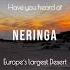 Neringa Sand Dunes In Lithuania
