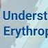 Understanding Erythropoiesis