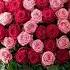 A Bouquet Of Love Flowers NatureLovers Garden Roses