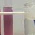 Le Chatelier S Principle Lab With Cobalt Complex Ions