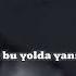 Bahadır Sağlam Kır Papatyası