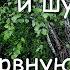 Крепкий здоровый сон под шум дождя и нежные звуки капель о поверхность воды