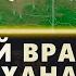 ДЖАМУХА ПОБРАТИМ И ВРАГ ЧИНГИСХАНА