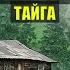 ОХОТА на КУНИЦУ ЗАБЛУДИЛСЯ ДЕД ЖИВЕТ в ТАЙГЕ ДОМ в ЛЕСУ КНИГИ ИСТОРИИ из ЖИЗНИ АУДИОКНИГА СЕРИАЛ 2