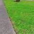 Flawless Lawn Edging With STIHL Battery Power Zero Emissions Lawncare