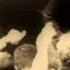 PORCUPINE TREE HATESONG HD