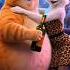 The Cat Was Abandoned By Her Husband Due To Ignore Animals Ytshorts Shorts