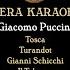 Turandot Tu Che Di Gel Sei Cinta