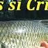 Pescuit La Clean Pe Mures Si Cris Cu Bejan Handmade Lures Iulie 2019