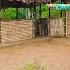 How To Make A Bamboo Bathroom In The Rain The Girl Made MILLIONS Of People Follow Lytunga90