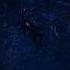 Black Widow And Hawkeye Sad Scene Black Widow Death Scene Emotional Scene Shorts