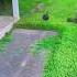 Lawn Edging Process Part 3 Edging With Precision Step By Step
