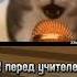 мемы мем кот песня Кот поет