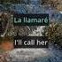 English Translation Of Rosa By Fabi Hernandez Mathieu Ruz Source LyricFluent App