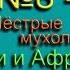 Мухоловка Пестрые мухолавки Евразии Африки Голоса птиц