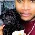 How Long Would You Keep Me Puppy Toypoodle Poodle Cutepuppy Viralvideo