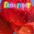 Любимой сестренке 8 марта