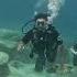 Explore MUSAN The Underwater Forest Of Ayia Napa