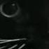 3 Oh Long Johnson Talking Cat America S Funniest Home Videos Cat AFV
