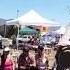 Lacy J Dalton Concert Dayton Nv
