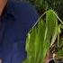 Life On Earth S Wildest Frontiers With David Attenborough 4K Documentary