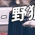 抖音熱歌 姚智鑫 野狼disco 抒情完整版 左邊跟我畫個龍 在妳右邊再畫彩虹 超燃