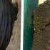 Farmer Discovers Something Strange Beneath His Field Calls Police After Realizing What It Really Is