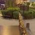 The Last Exit Khawaneej Dubai Viralvideo Dubai Thelastexit Yalladubai Mrbeast
